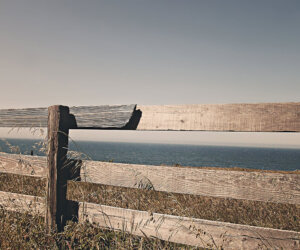 Silence in the School Silence in the School